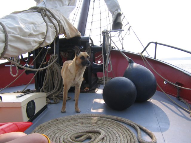 2004Zeilkamp 190.jpg
